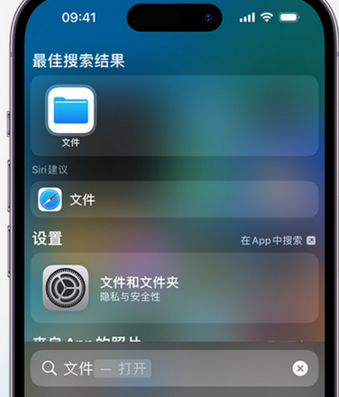 临武apple维修中心分享iPhone文件应用中存储和找到下载文件