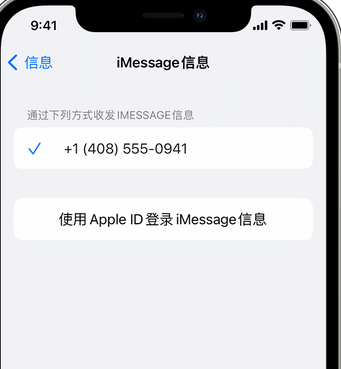 临武apple维修iPhone上无法正常发送iMessage信息