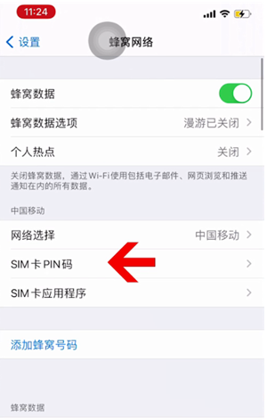 临武苹果14维修网分享如何给iPhone14的SIM卡设置密码 