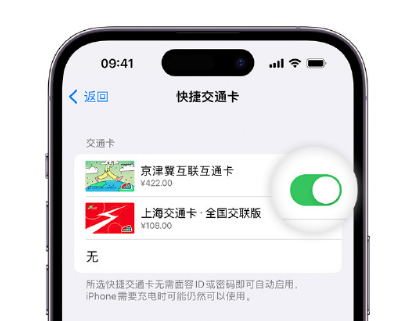 临武apple维修点分享iPhone上更换Apple Pay快捷交通卡手绘卡面 