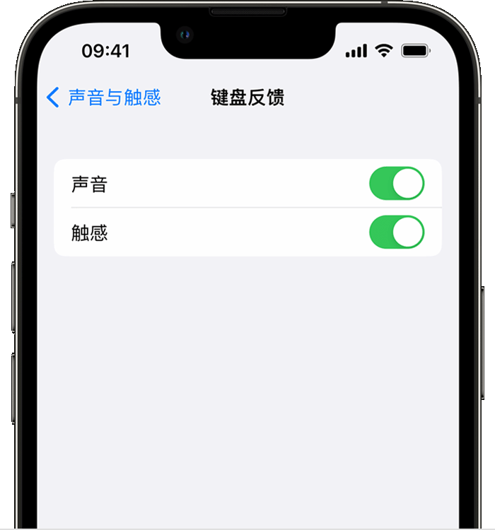 临武苹果14维修店分享如何在 iPhone 14 机型中使用触感键盘 