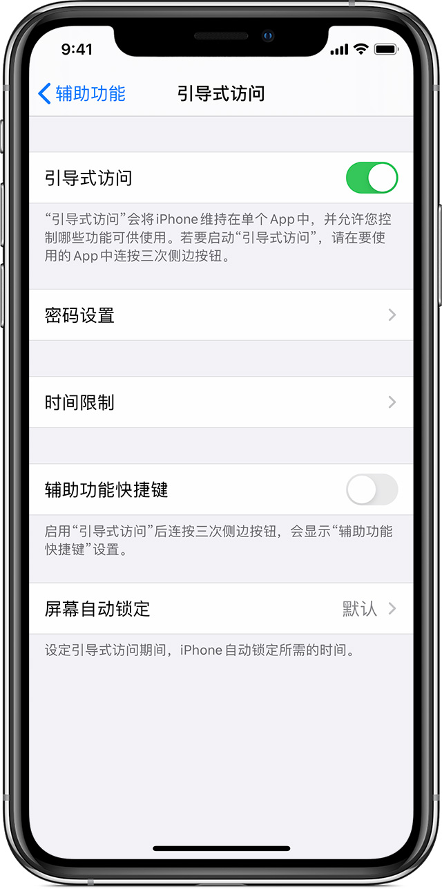 临武苹果手机维修分享如何在 iPhone 上退出引导式访问 