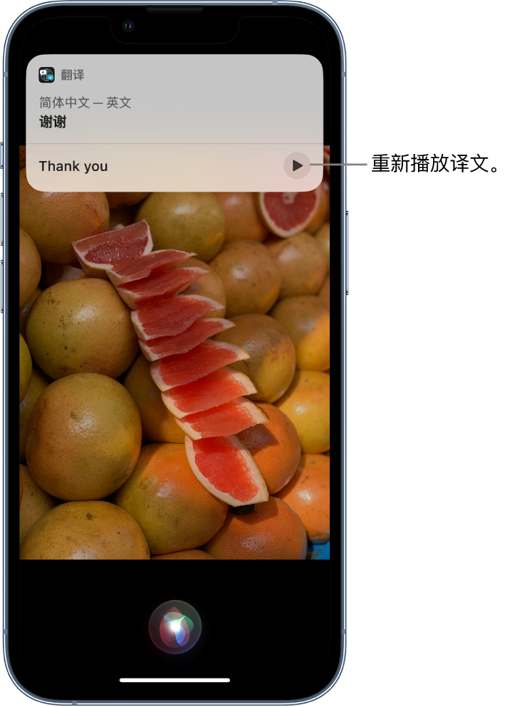 临武苹果14维修分享 iPhone 14 机型中使用 Siri：了解 Siri 能帮你做什么 