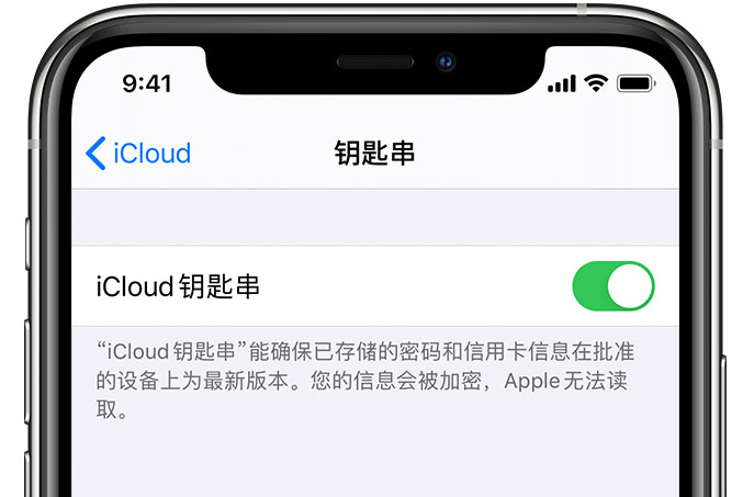 临武苹果手机维修分享在 iPhone 上开启 iCloud 钥匙串之后会储存哪些信息 