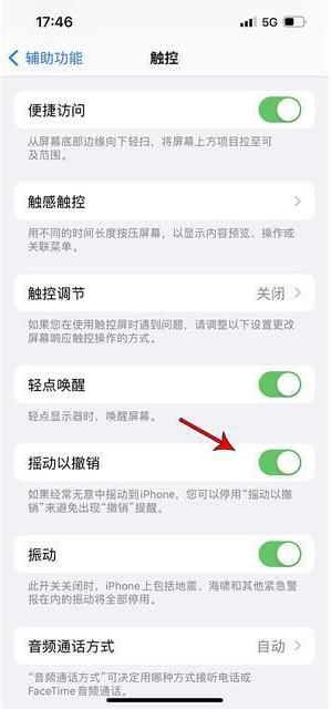 临武苹果手机维修分享iPhone手机如何设置摇一摇删除文字 