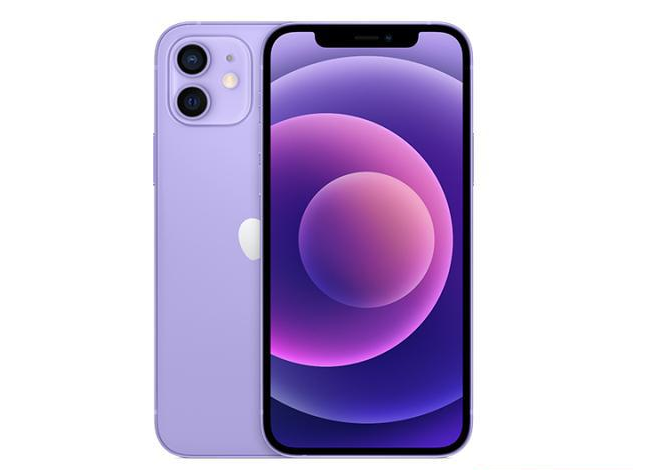临武苹果手机维修分享现阶段要不要入手紫色版iPhone12 
