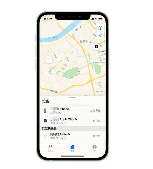临武苹果手机维修分享iPhone “家人共享”功能 