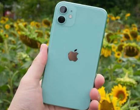 临武苹果维修点分享iPhone 11锁屏密码认知与使用科普 