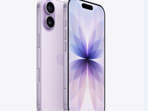 临武苹果维修点分享iPhone 17锁屏密码使用参考 